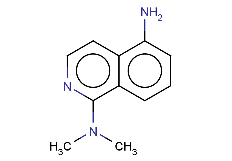 N1,N1-dimethylisoquinoline-1,5-diamine