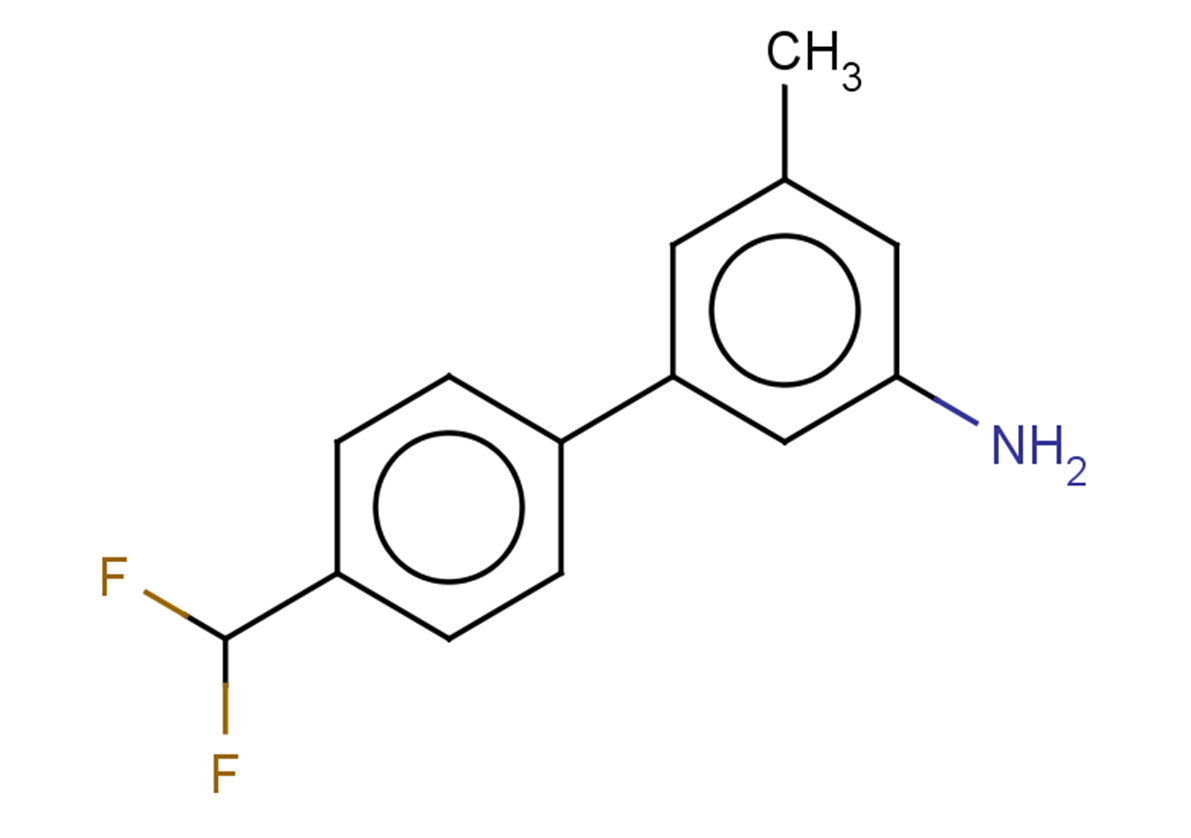 4'-(difluoromethyl)-5-methyl-[1,1'-biphenyl]-3-amine