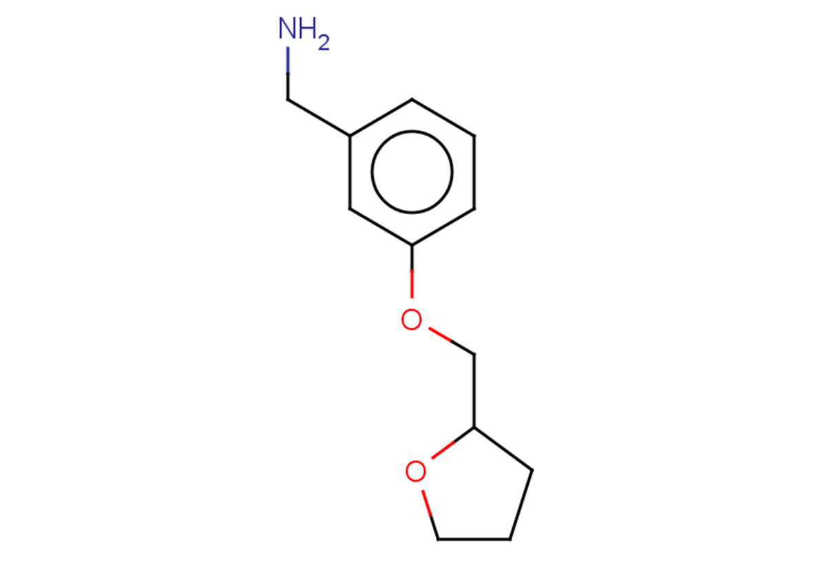 {3-[(oxolan-2-yl)methoxy]phenyl}methanamine