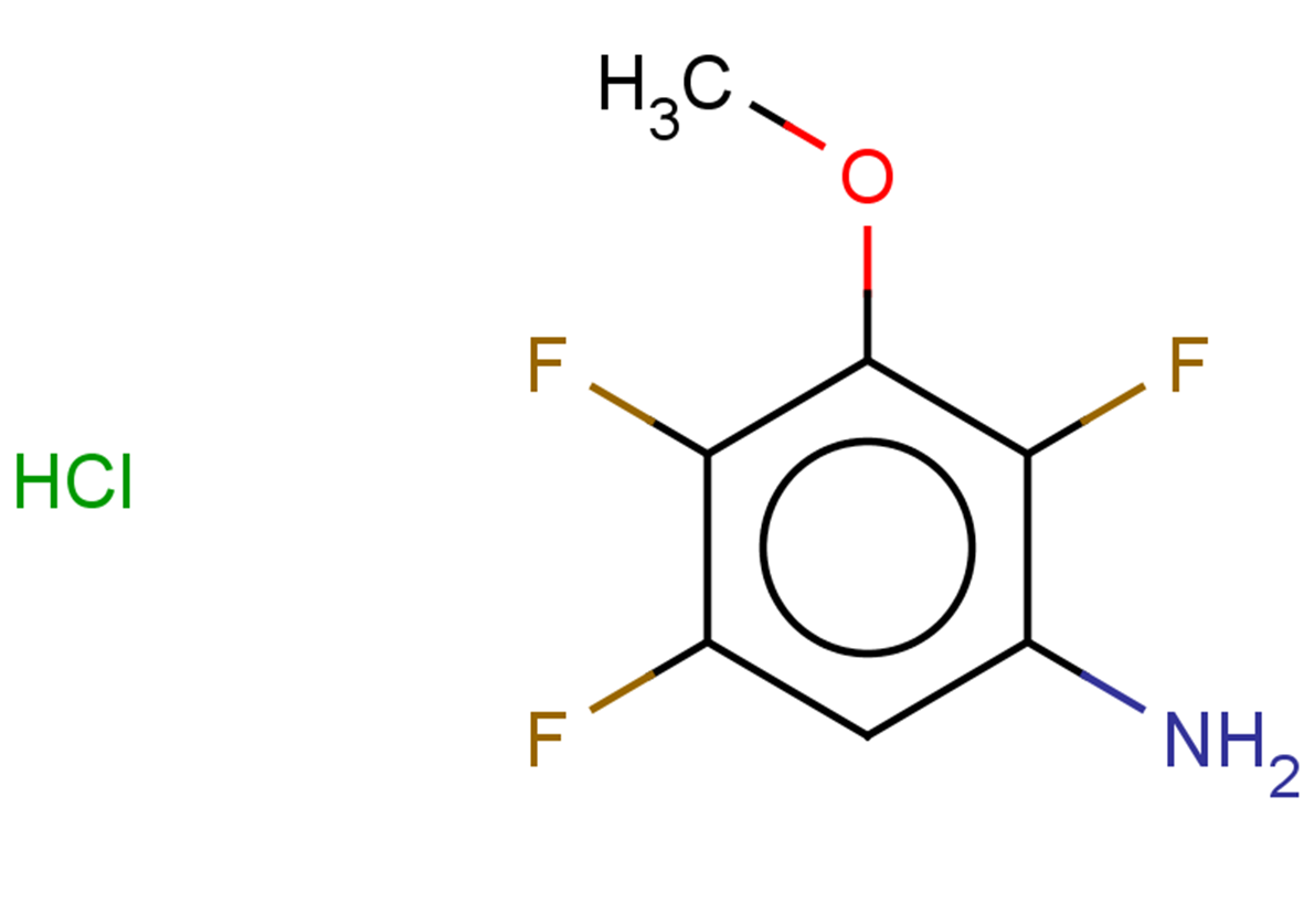 2,4,5-trifluoro-3-methoxyaniline hydrochloride