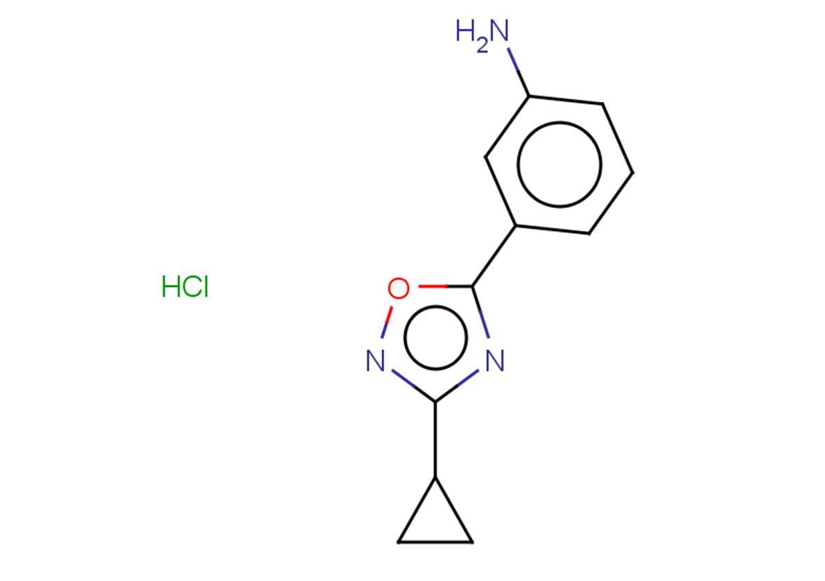 3-(3-cyclopropyl-1,2,4-oxadiazol-5-yl)aniline hydrochloride