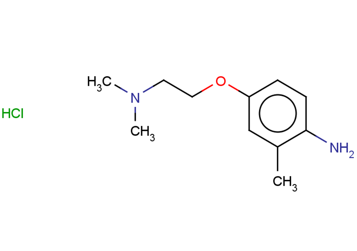 4-[2-(dimethylamino)ethoxy]-2-methylaniline hydrochloride