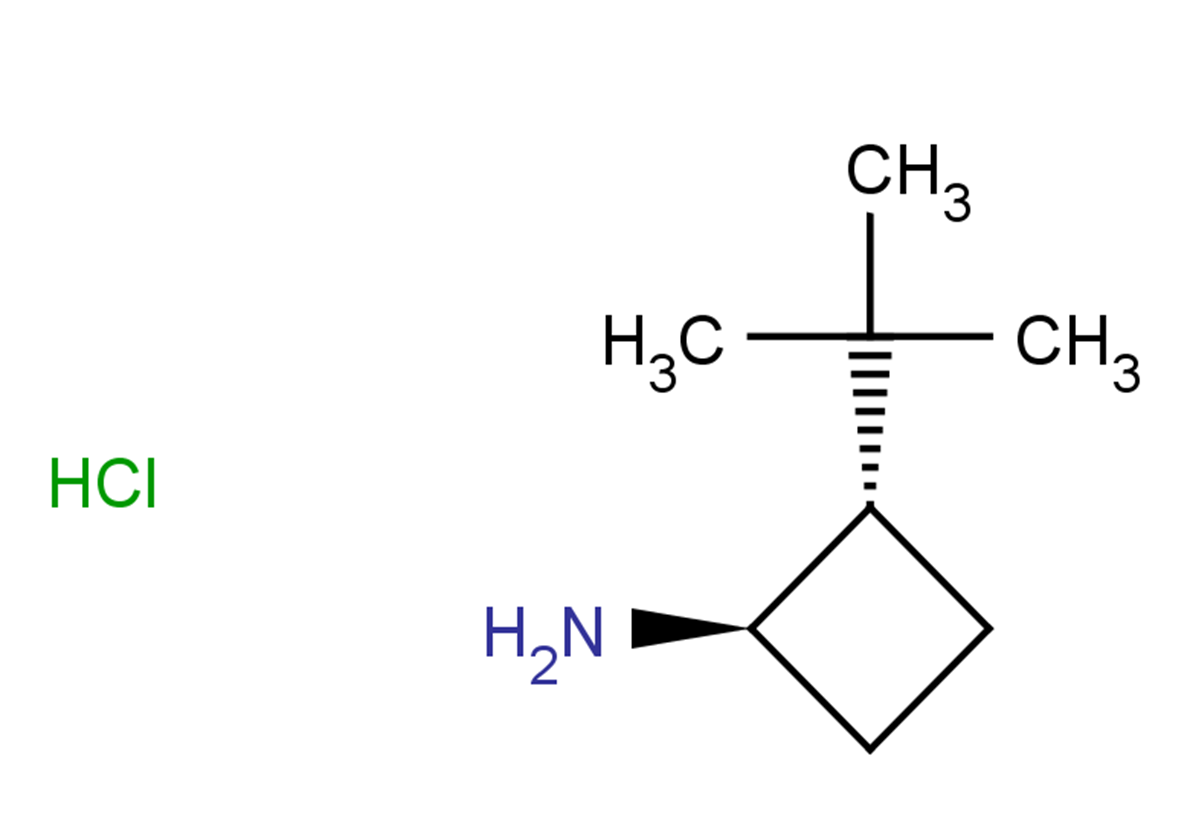 rac-(1R,2S)-2-tert-butylcyclobutan-1-amine hydrochloride, trans