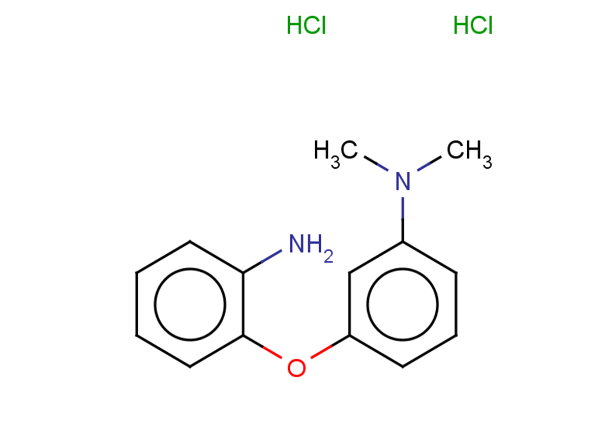 3-(2-aminophenoxy)-N,N-dimethylaniline dihydrochloride