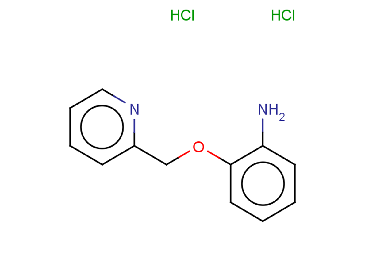 2-[(pyridin-2-yl)methoxy]aniline dihydrochloride