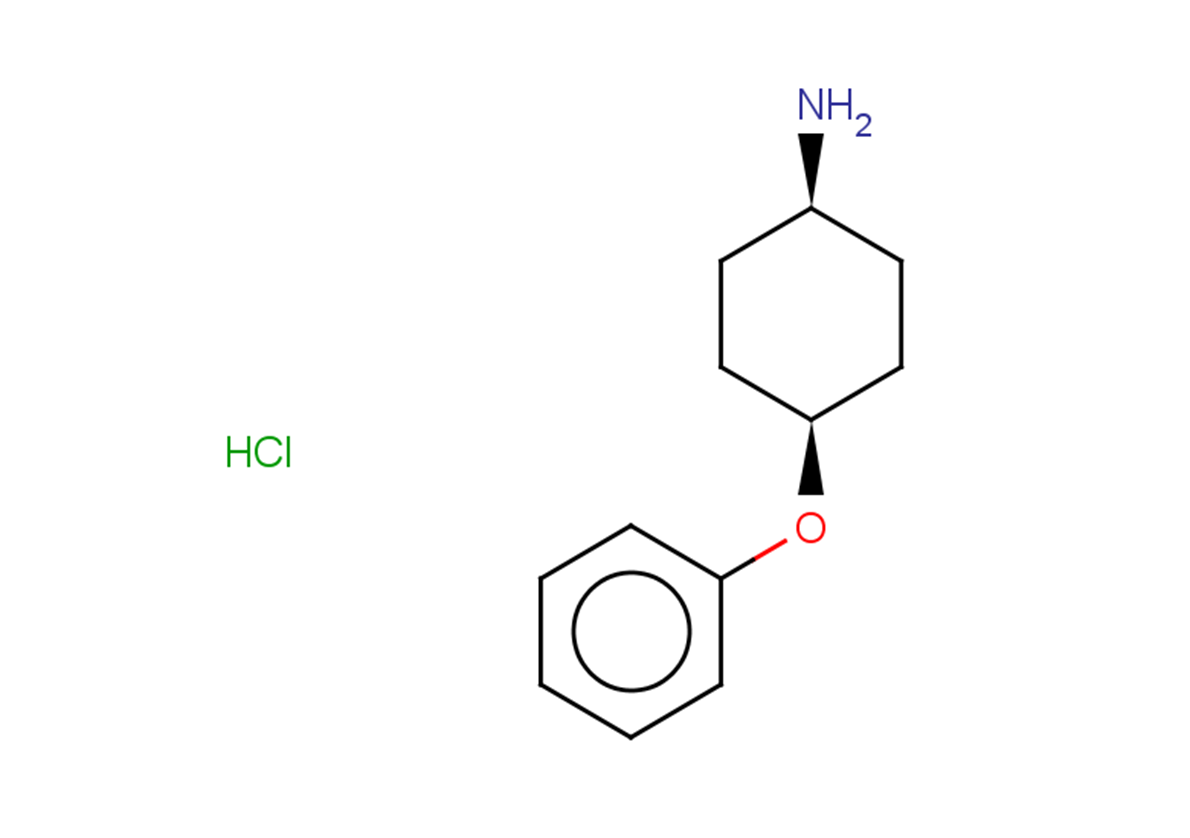 rac-(1s,4s)-4-phenoxycyclohexan-1-amine hydrochloride, cis