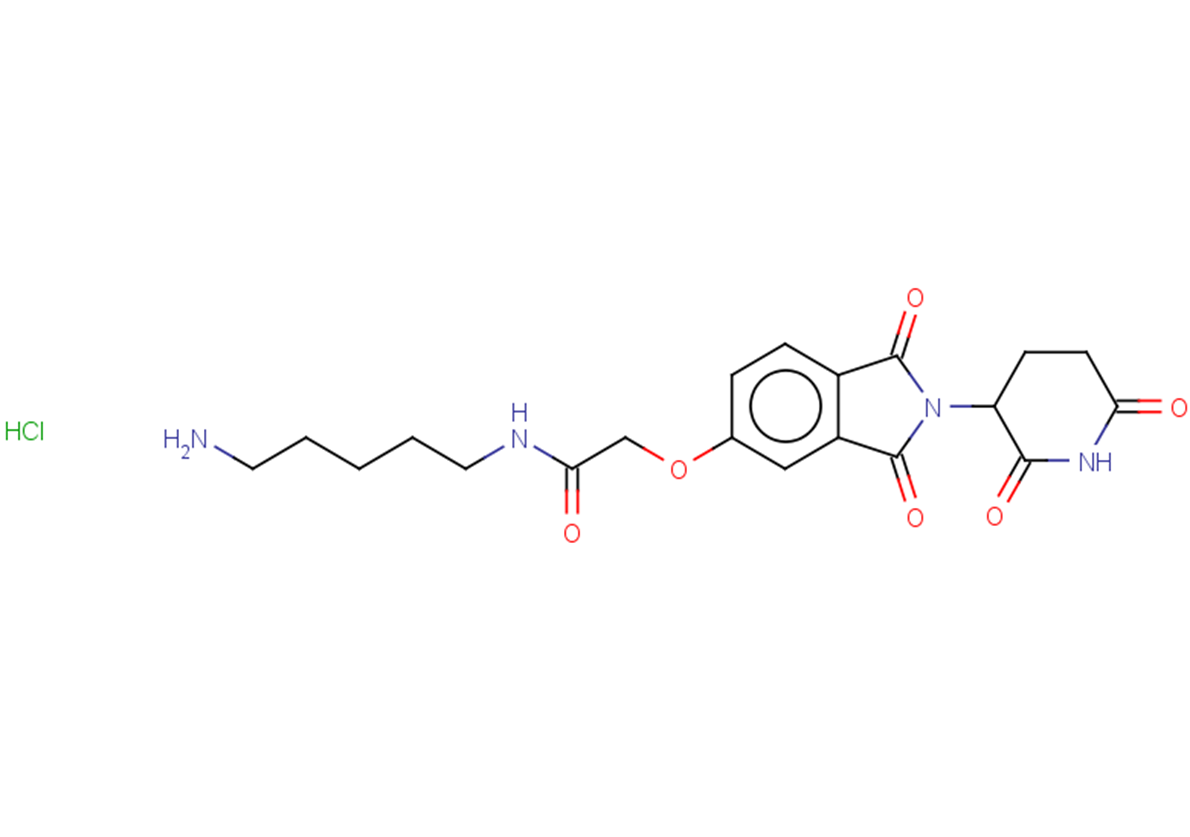 N-(5-aminopentyl)-2-{[2-(2,6-dioxopiperidin-3-yl)-1,3-dioxo-2,3-dihydro-1H-isoindol-5-yl]oxy}acetamide hydrochloride