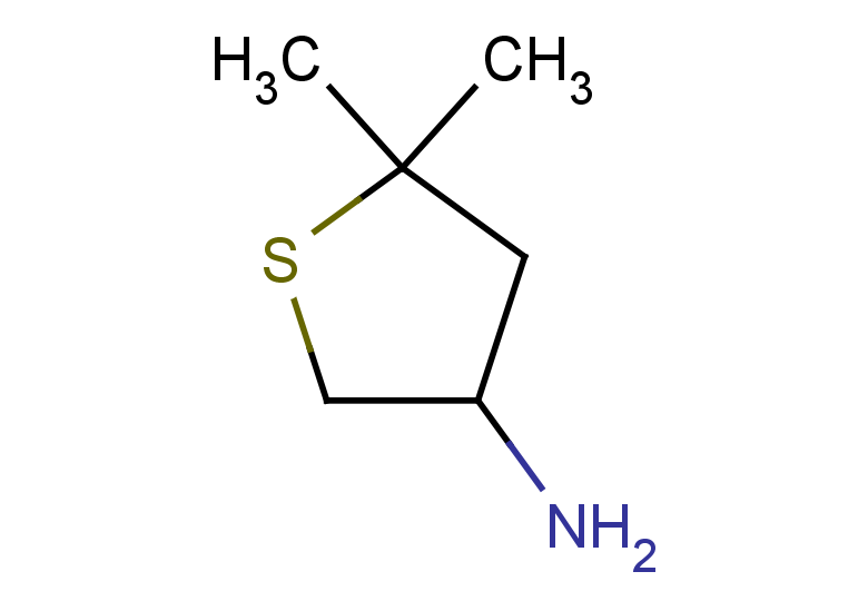 5,5-dimethylthiolan-3-amine