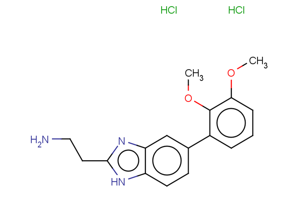 2-[5-(2,3-dimethoxyphenyl)-1H-1,3-benzodiazol-2-yl]ethan-1-amine dihydrochloride