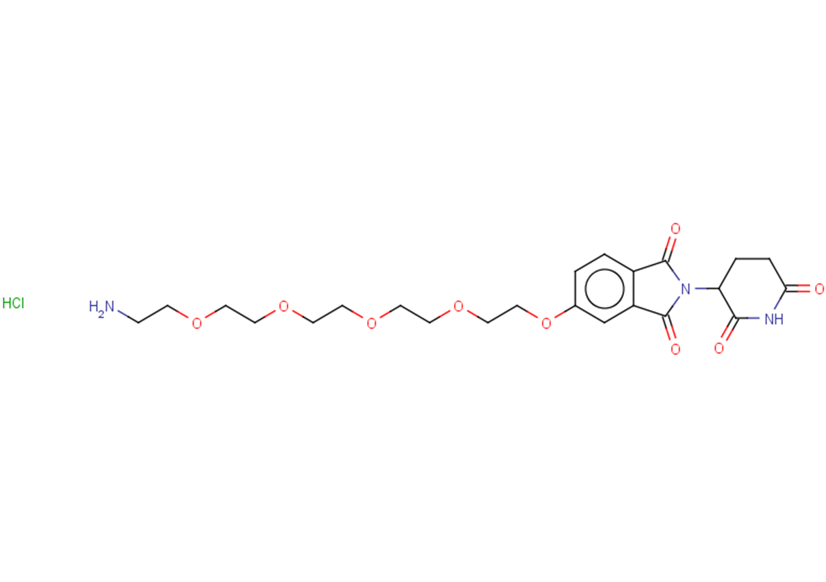5-[(14-amino-3,6,9,12-tetraoxatetradecan-1-yl)oxy]-2-(2,6-dioxopiperidin-3-yl)-2,3-dihydro-1H-isoindole-1,3-dione hydrochloride