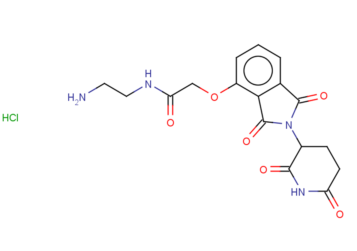 N-(2-aminoethyl)-2-{[2-(2,6-dioxopiperidin-3-yl)-1,3-dioxo-2,3-dihydro-1H-isoindol-4-yl]oxy}acetamide hydrochloride