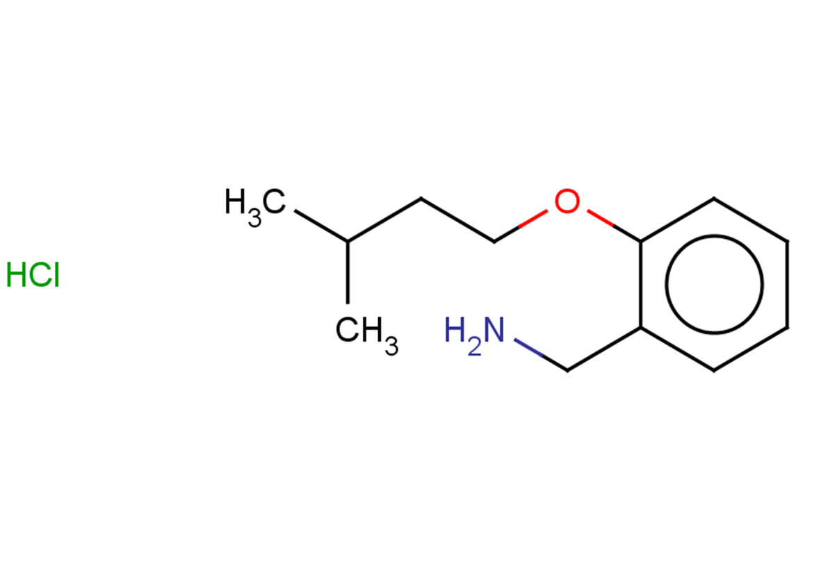 [2-(3-methylbutoxy)phenyl]methanamine hydrochloride
