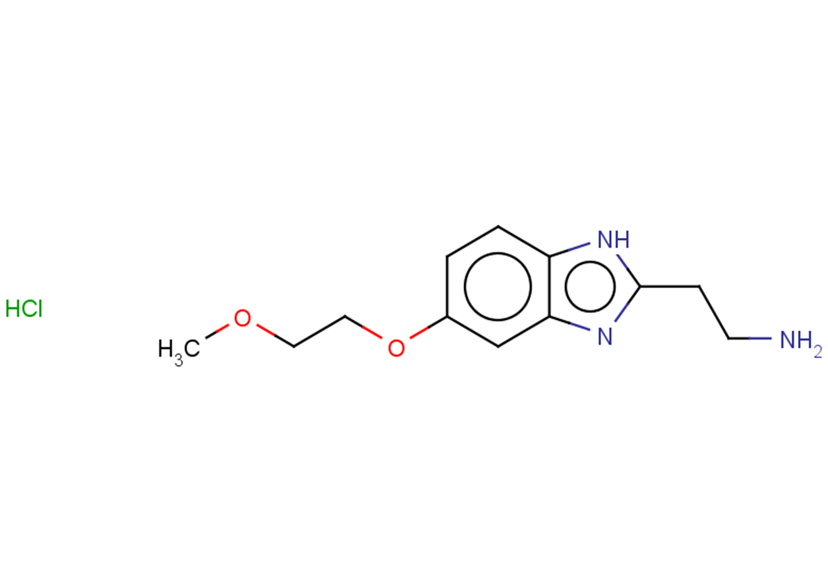 2-[5-(2-methoxyethoxy)-1H-1,3-benzodiazol-2-yl]ethan-1-amine hydrochloride