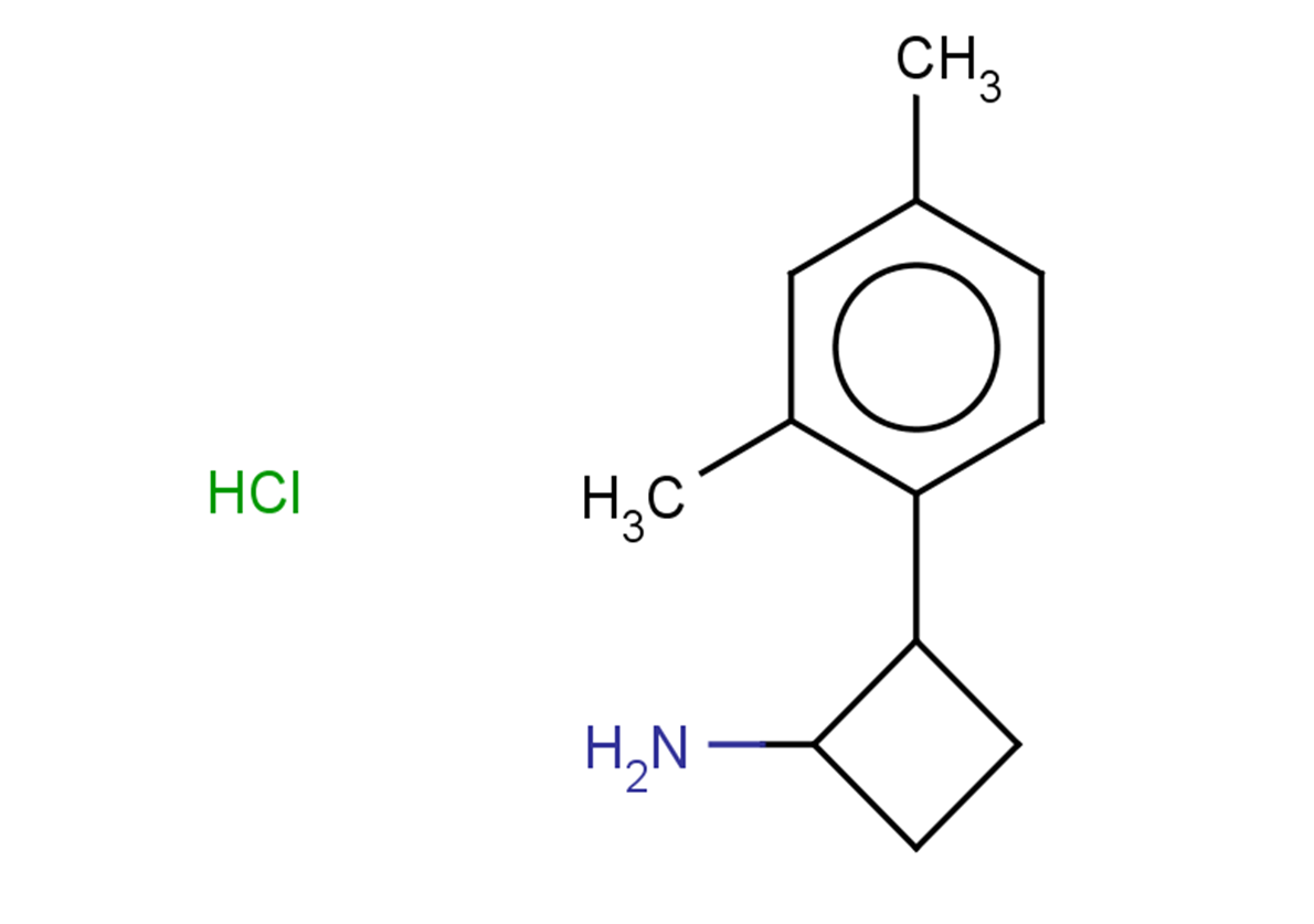 2-(2,4-dimethylphenyl)cyclobutan-1-amine hydrochloride