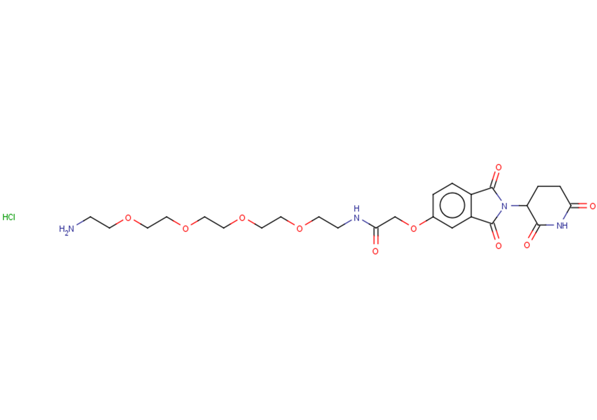 N-(14-amino-3,6,9,12-tetraoxatetradecan-1-yl)-2-{[2-(2,6-dioxopiperidin-3-yl)-1,3-dioxo-2,3-dihydro-1H-isoindol-5-yl]oxy}acetamide hydrochloride