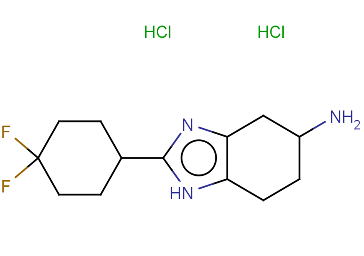 2-(4,4-difluorocyclohexyl)-4,5,6,7-tetrahydro-1H-1,3-benzodiazol-5-amine dihydrochloride