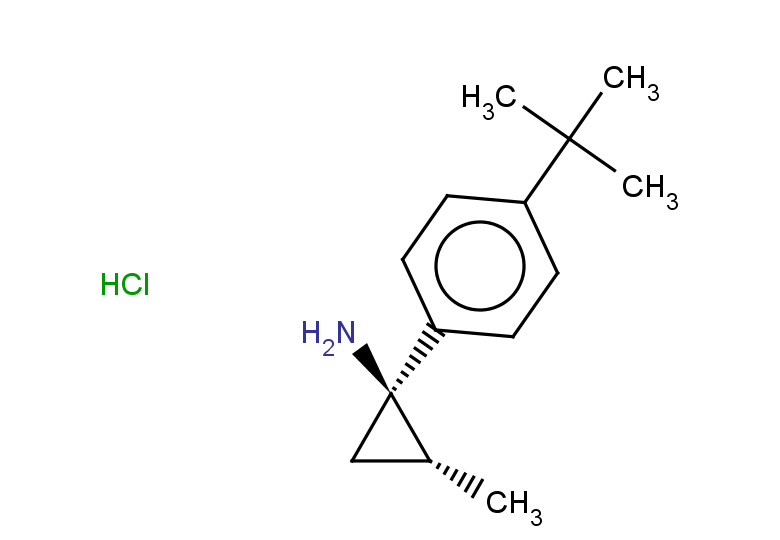 rac-(1R,2R)-1-(4-tert-butylphenyl)-2-methylcyclopropan-1-amine hydrochloride