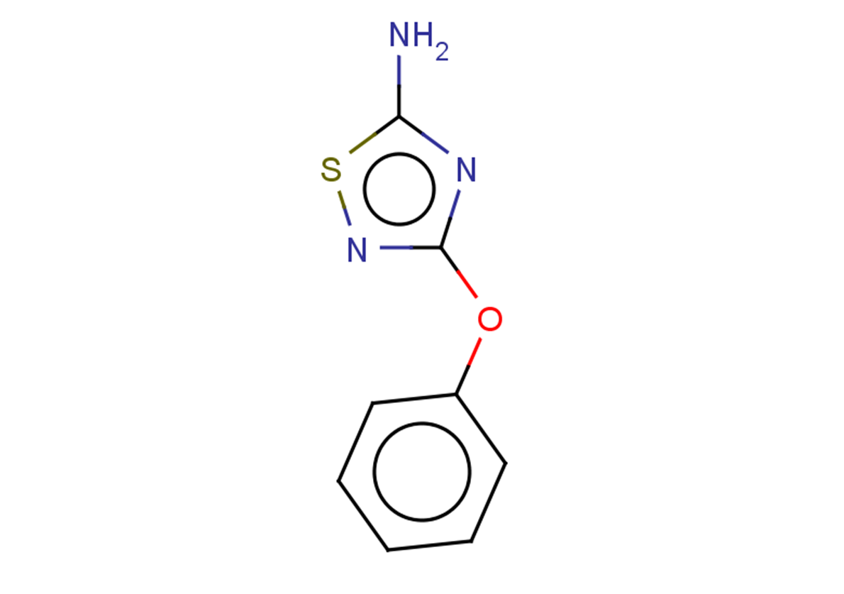 3-PHENOXY-1,2,4-THIADIAZOL-5-AMINE