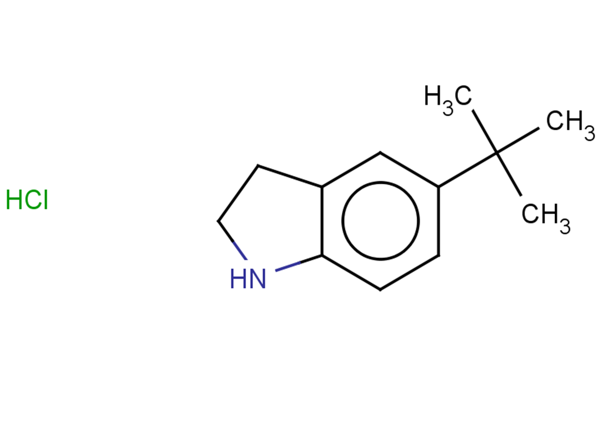 5-tert-butyl-2,3-dihydro-1H-indole hydrochloride