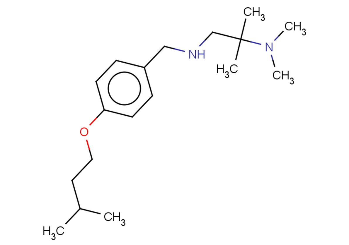 dimethyl[2-methyl-1-({[4-(3-methylbutoxy)phenyl]methyl}amino)propan-2-yl]amine