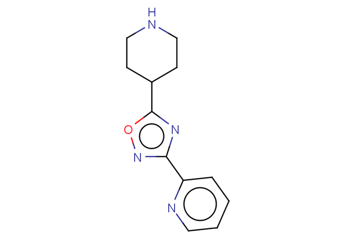 2-[5-(piperidin-4-yl)-1,2,4-oxadiazol-3-yl]pyridine