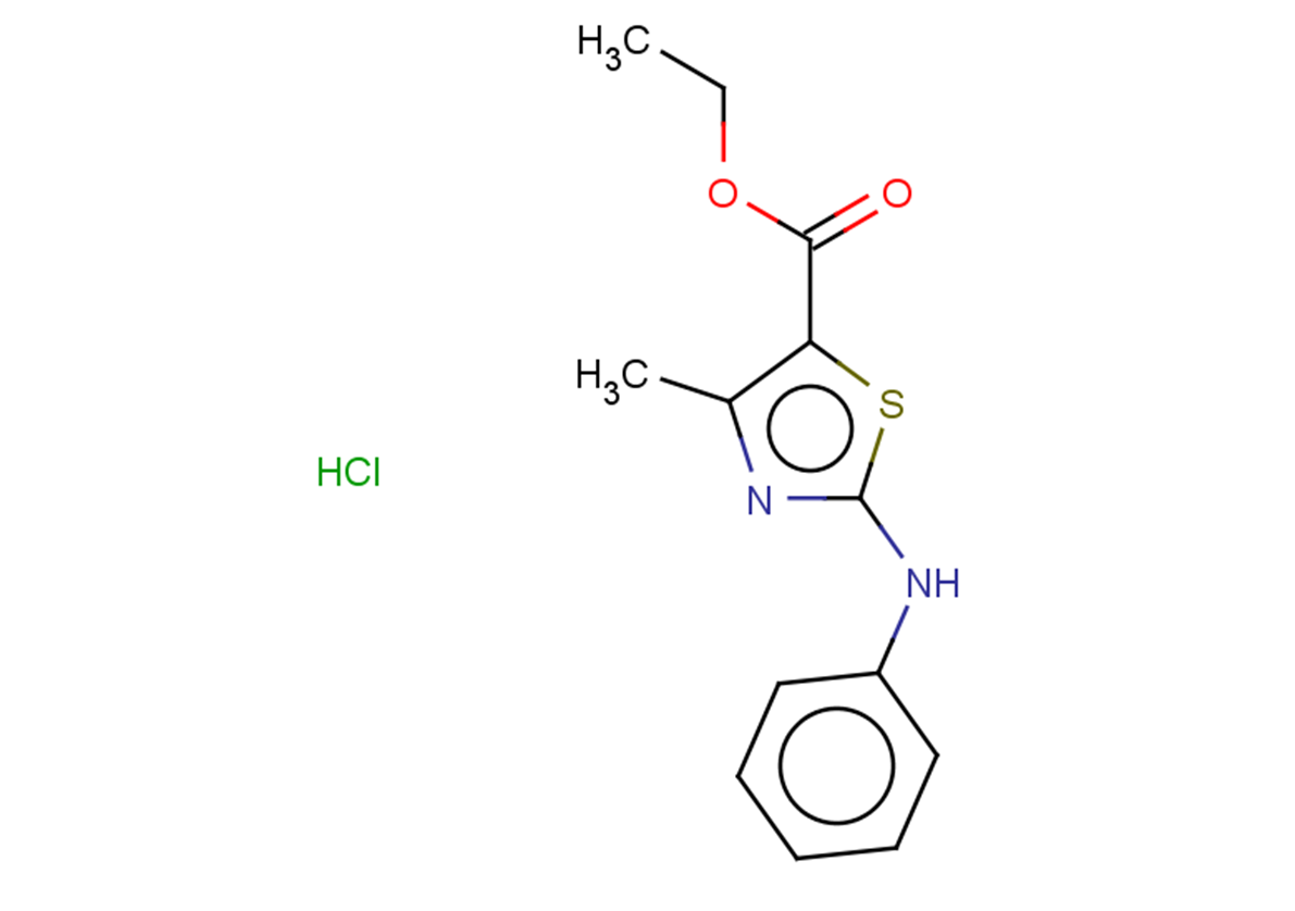 ethyl 4-methyl-2-(phenylamino)-1,3-thiazole-5-carboxylate hydrochloride