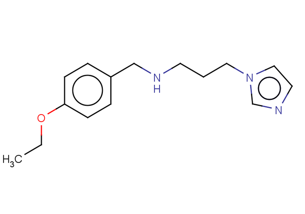 [(4-ethoxyphenyl)methyl][3-(1H-imidazol-1-yl)propyl]amine