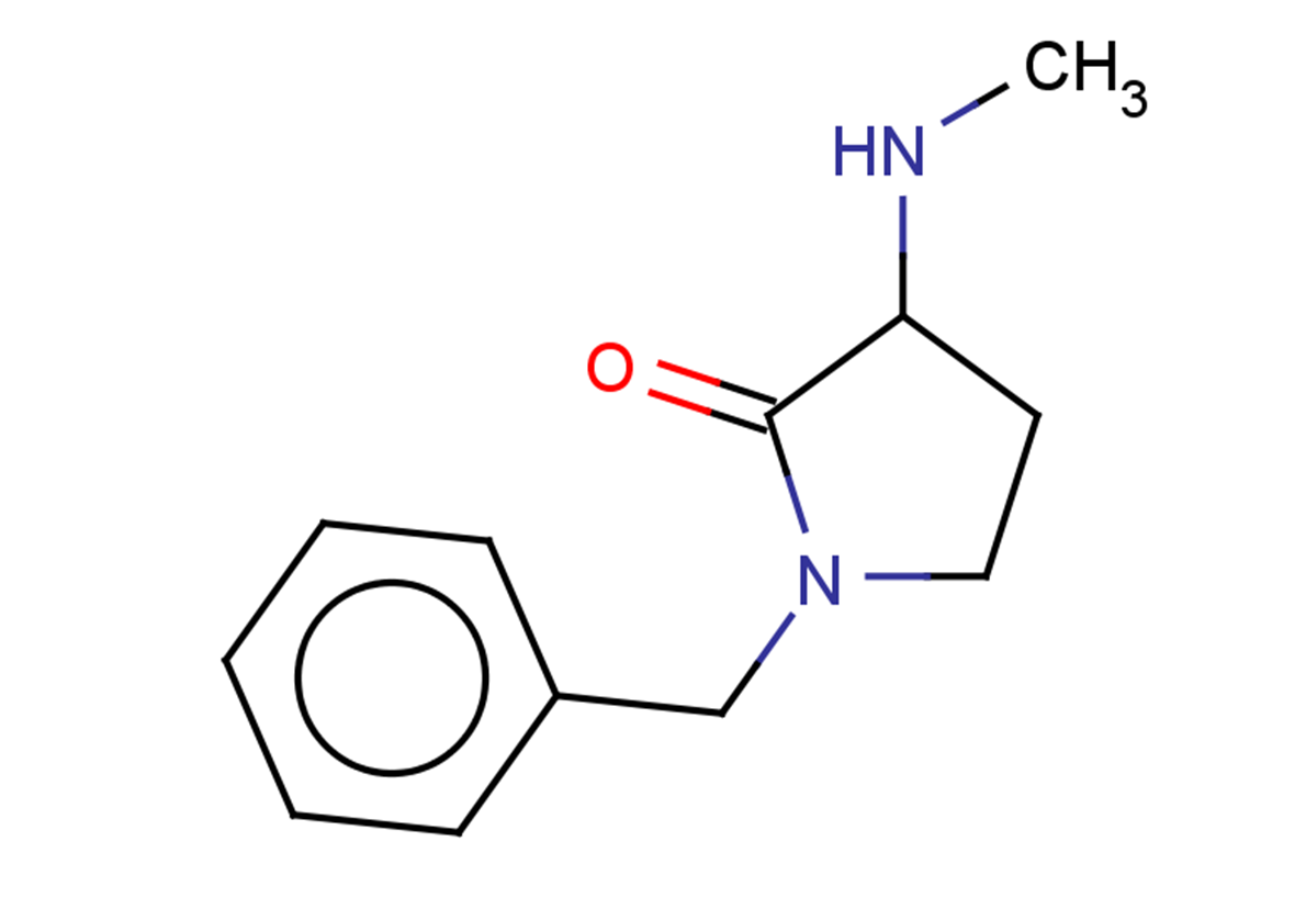 1-benzyl-3-(methylamino)pyrrolidin-2-one