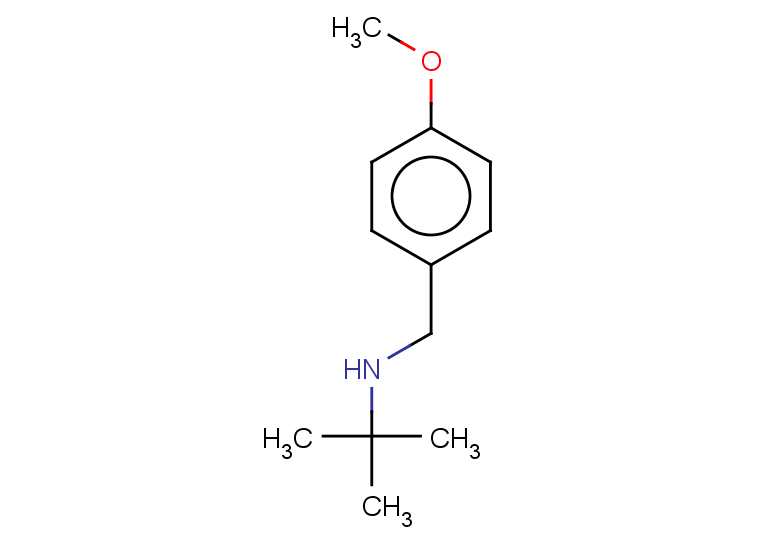 tert-butyl[(4-methoxyphenyl)methyl]amine