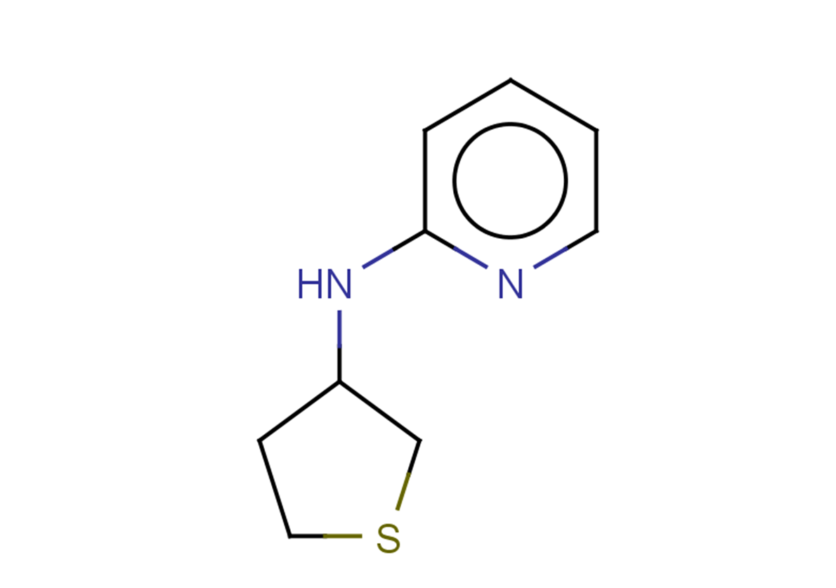 N-(thiolan-3-yl)pyridin-2-amine