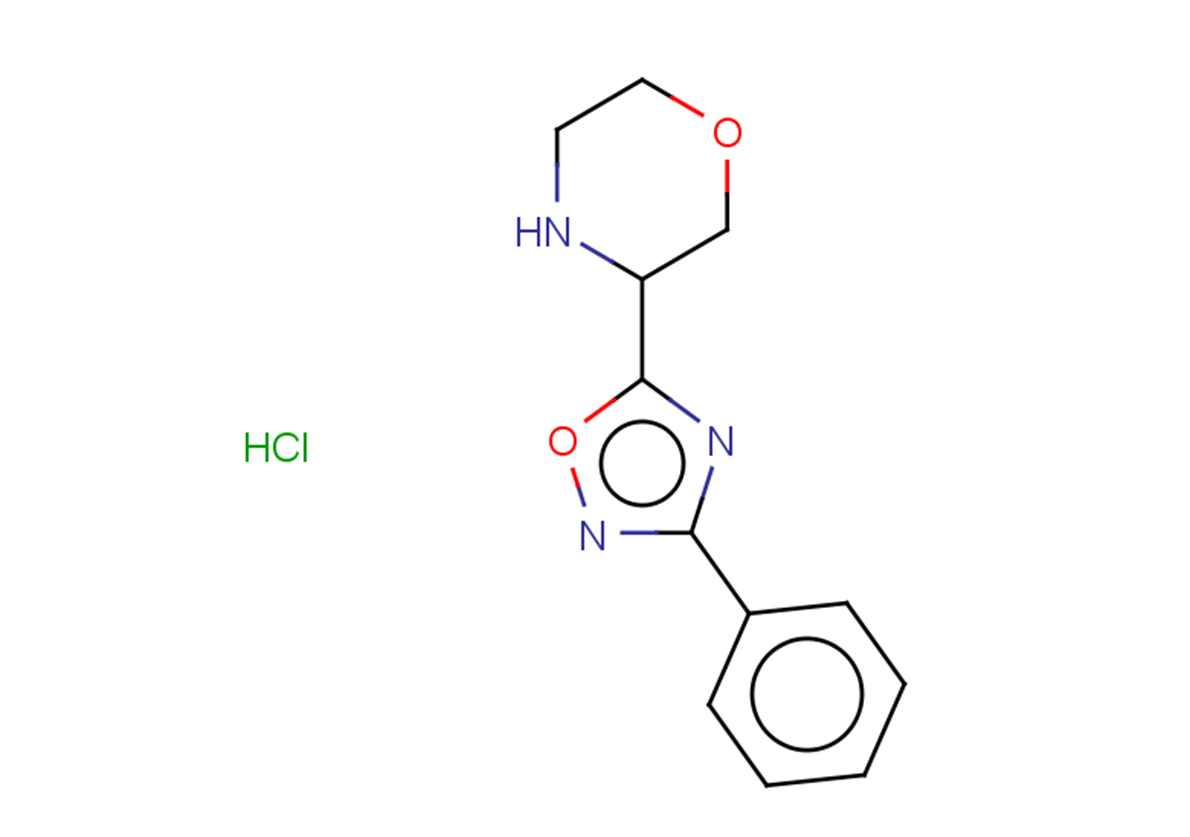 3-(3-phenyl-1,2,4-oxadiazol-5-yl)morpholine hydrochloride