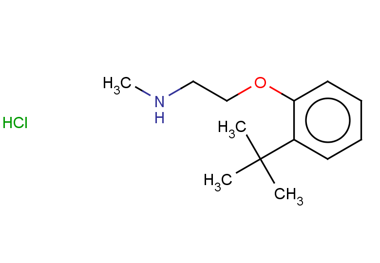 [2-(2-tert-butylphenoxy)ethyl](methyl)amine hydrochloride
