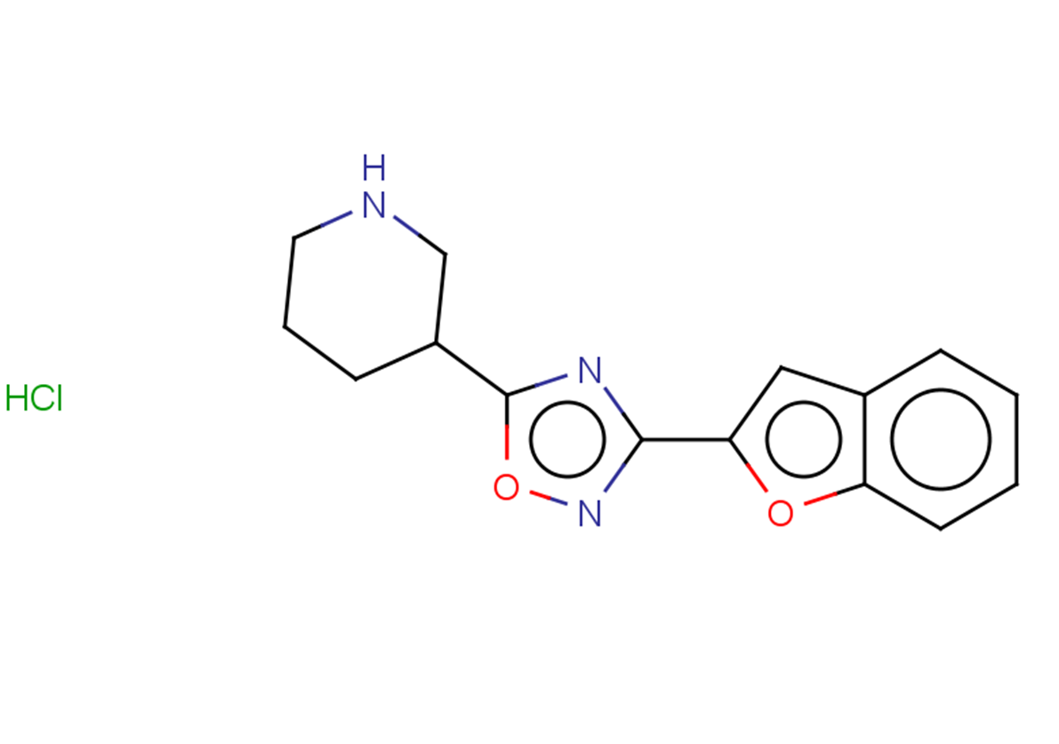 3-[3-(1-benzofuran-2-yl)-1,2,4-oxadiazol-5-yl]piperidine hydrochloride