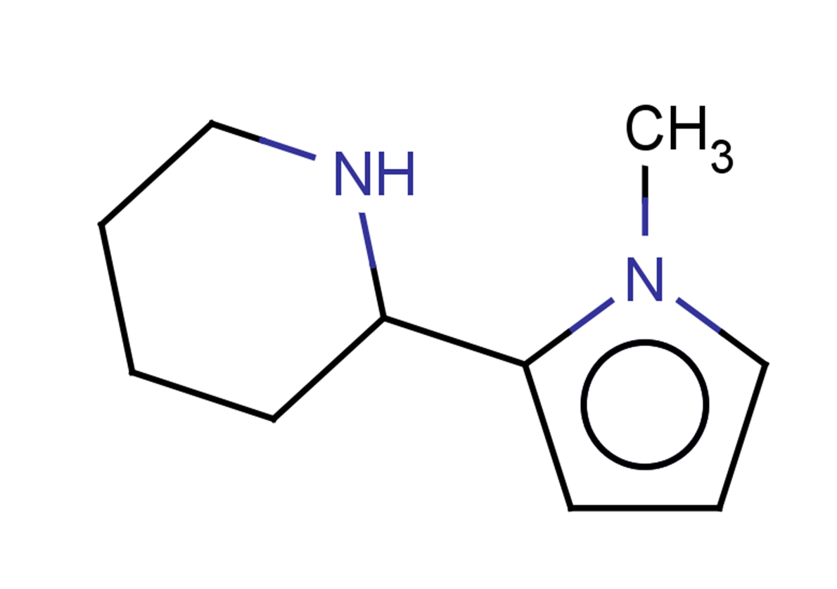 2-(1-methyl-1H-pyrrol-2-yl)piperidine