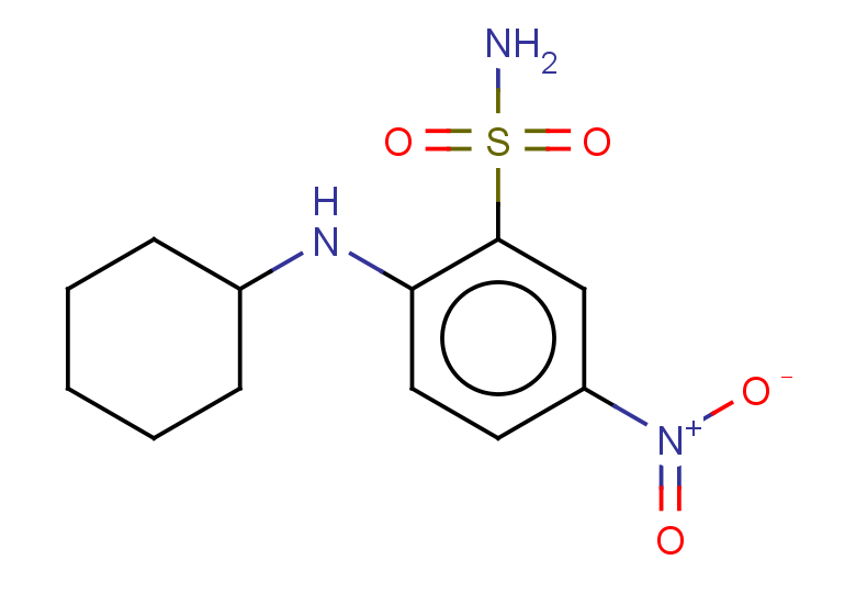 2-(cyclohexylamino)-5-nitrobenzene-1-sulfonamide