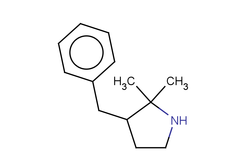 3-benzyl-2,2-dimethylpyrrolidine