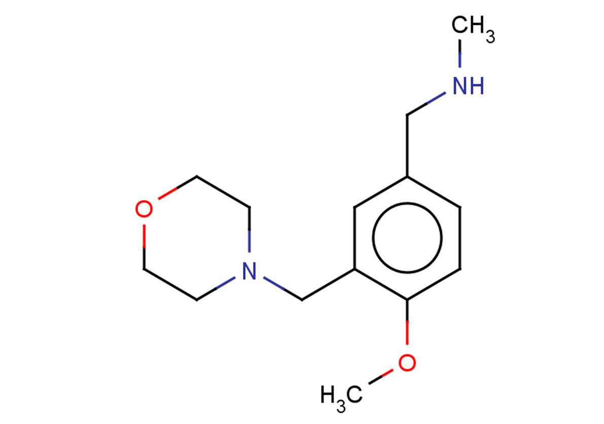 {[4-methoxy-3-(morpholin-4-ylmethyl)phenyl]methyl}(methyl)amine