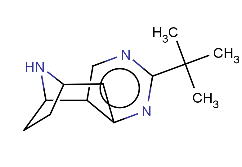 5-tert-butyl-4,6,12-triazatricyclo[7.2.1.0,2,7]dodeca-2,4,6-triene