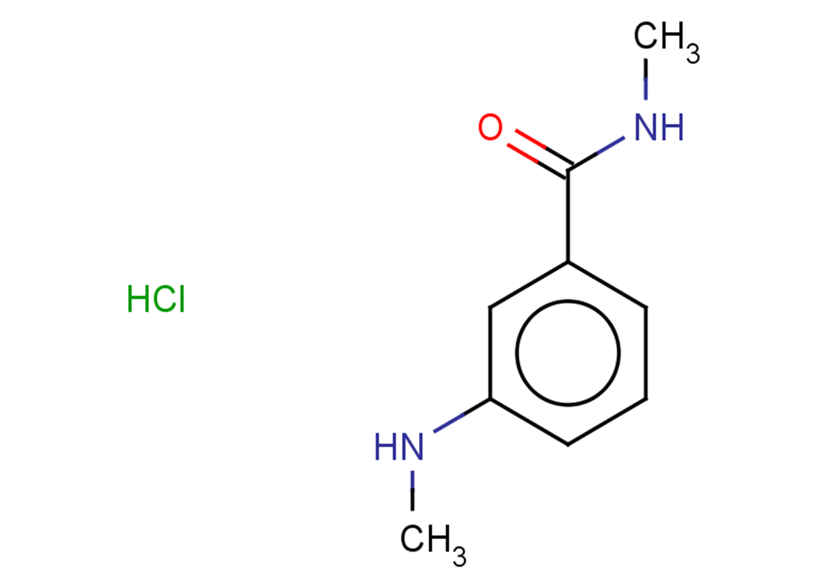 N-methyl-3-(methylamino)benzamide hydrochloride