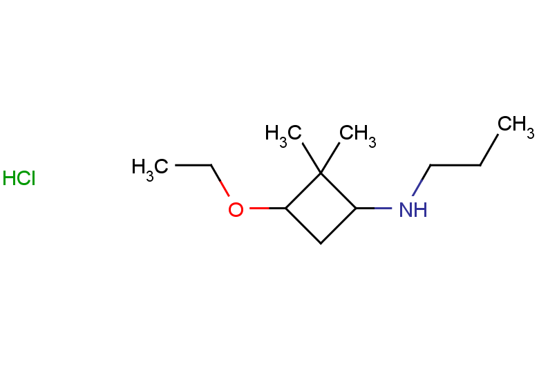 3-ethoxy-2,2-dimethyl-N-propylcyclobutan-1-amine hydrochloride