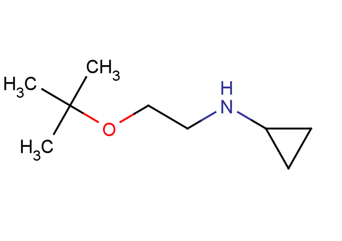 N-[2-(tert-butoxy)ethyl]cyclopropanamine