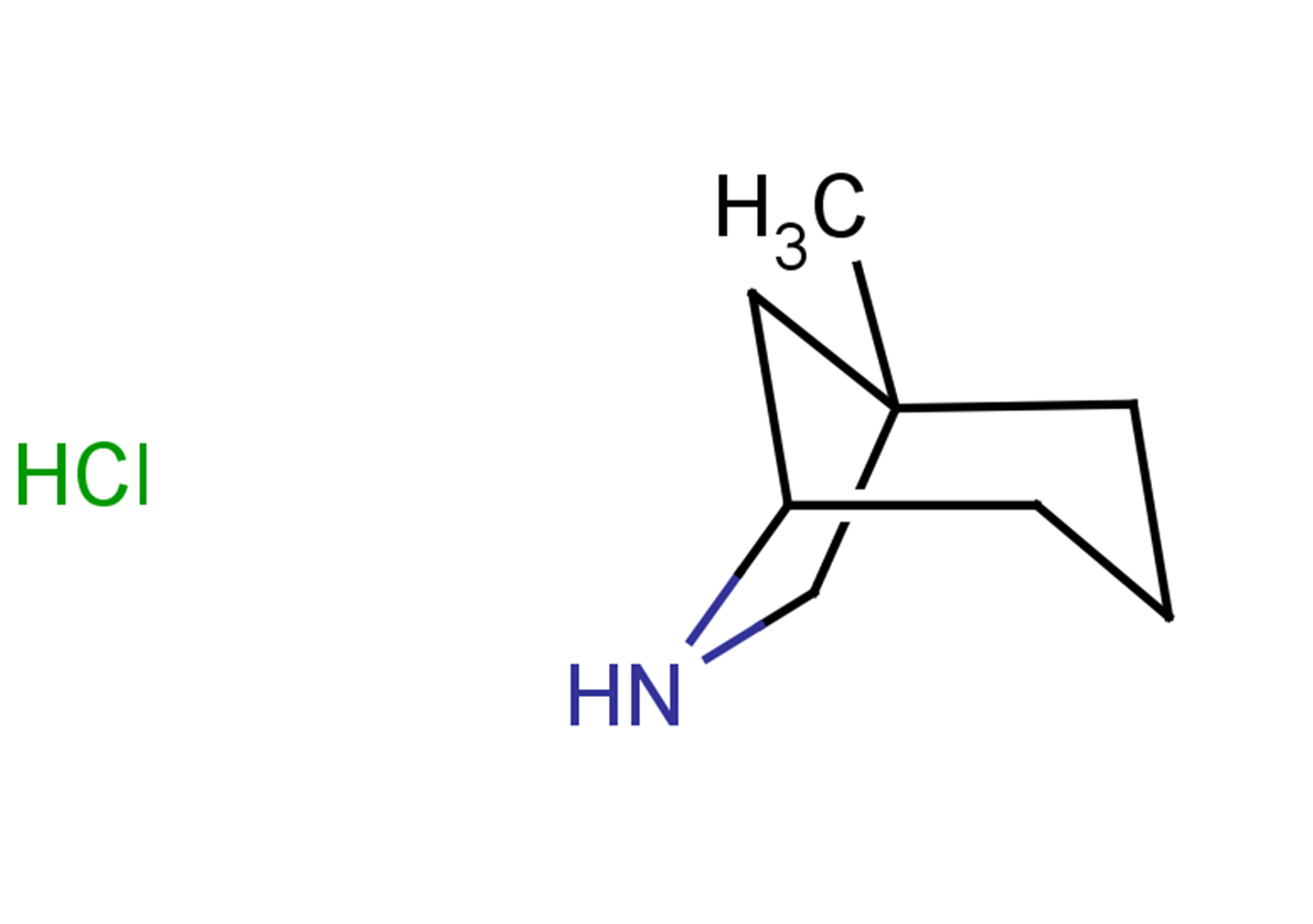 1-methyl-6-azabicyclo[3.2.1]octane hydrochloride