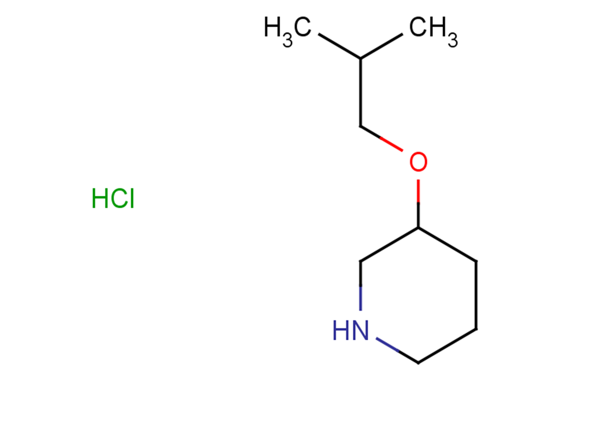 3-(2-methylpropoxy)piperidine hydrochloride