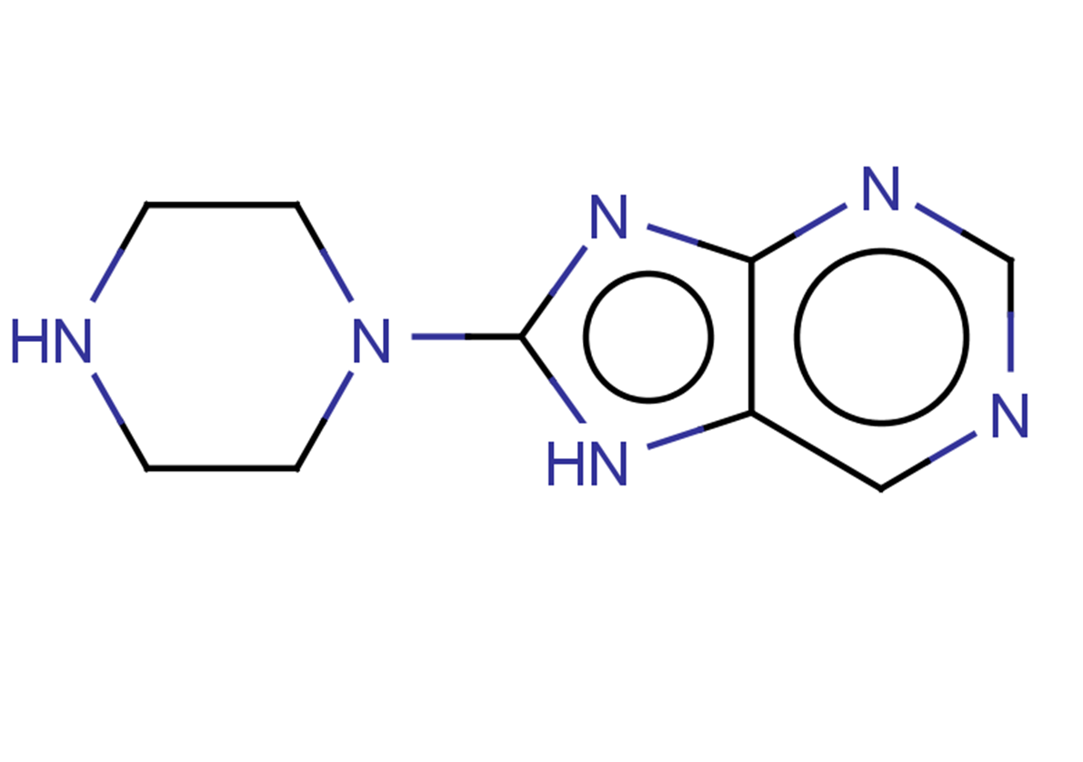 8-(piperazin-1-yl)-7H-purine