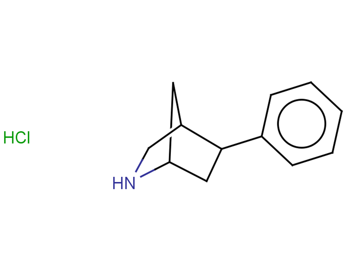 5-phenyl-2-azabicyclo[2.2.1]heptane hydrochloride