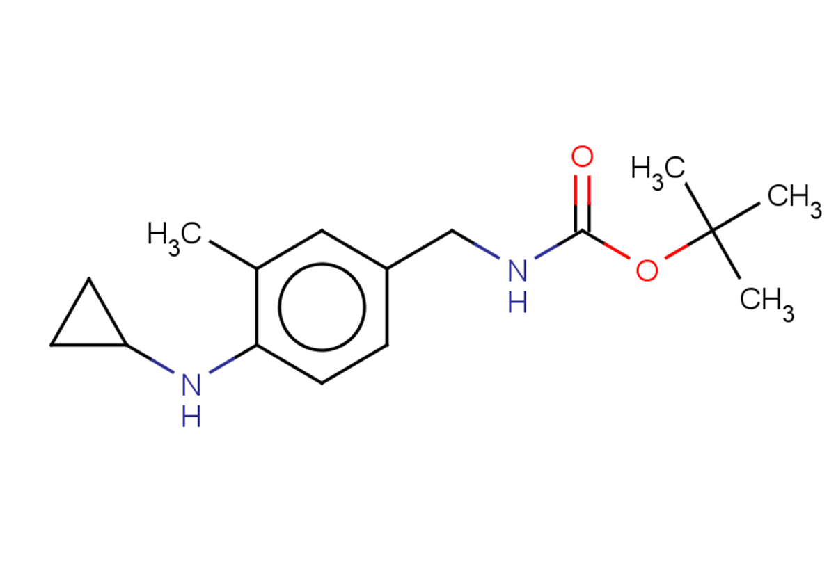 tert-butyl N-{[4-(cyclopropylamino)-3-methylphenyl]methyl}carbamate