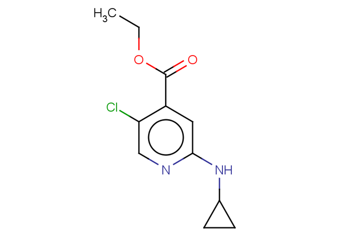 ethyl 5-chloro-2-(cyclopropylamino)pyridine-4-carboxylate