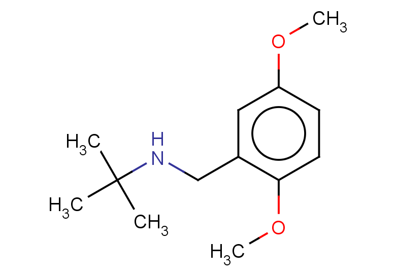tert-butyl[(2,5-dimethoxyphenyl)methyl]amine