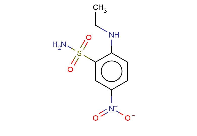 2-(ethylamino)-5-nitrobenzene-1-sulfonamide