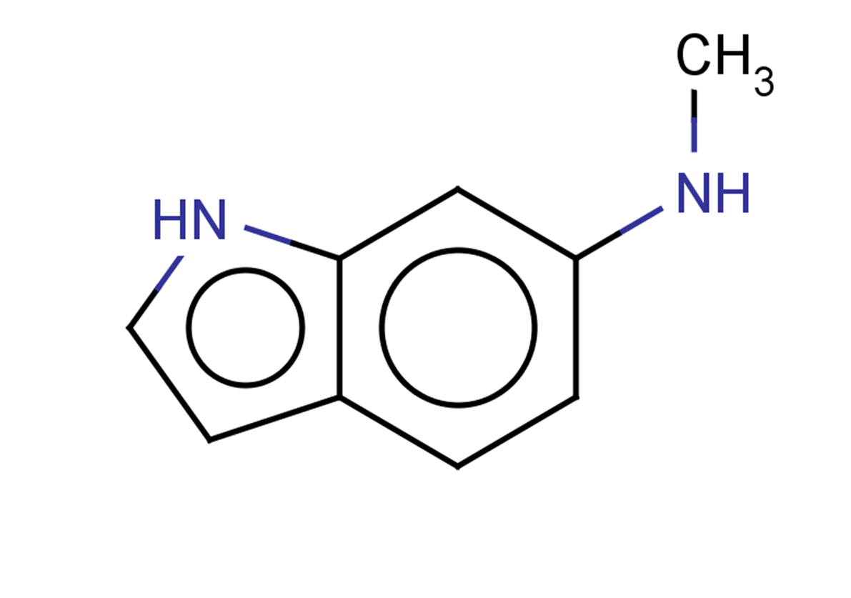 N-methyl-1H-indol-6-amine